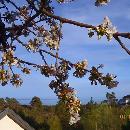 Bed & Breakfast, Randvik * Risor