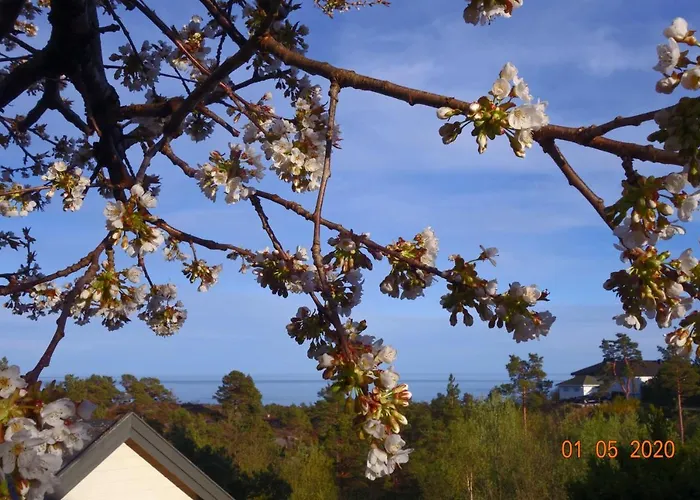 Bed & Breakfast, Randvik * Risør