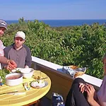 Bed & Breakfast, Randvik * أريسُر