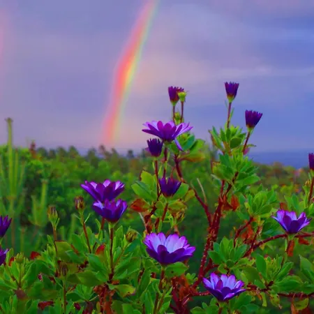 Couette-café Bed & Breakfast, Randvik Risør