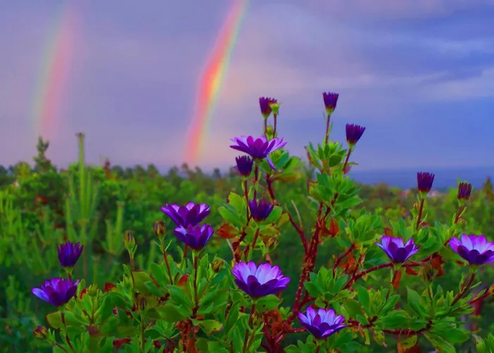 Couette-café Bed & Breakfast, Randvik Risør